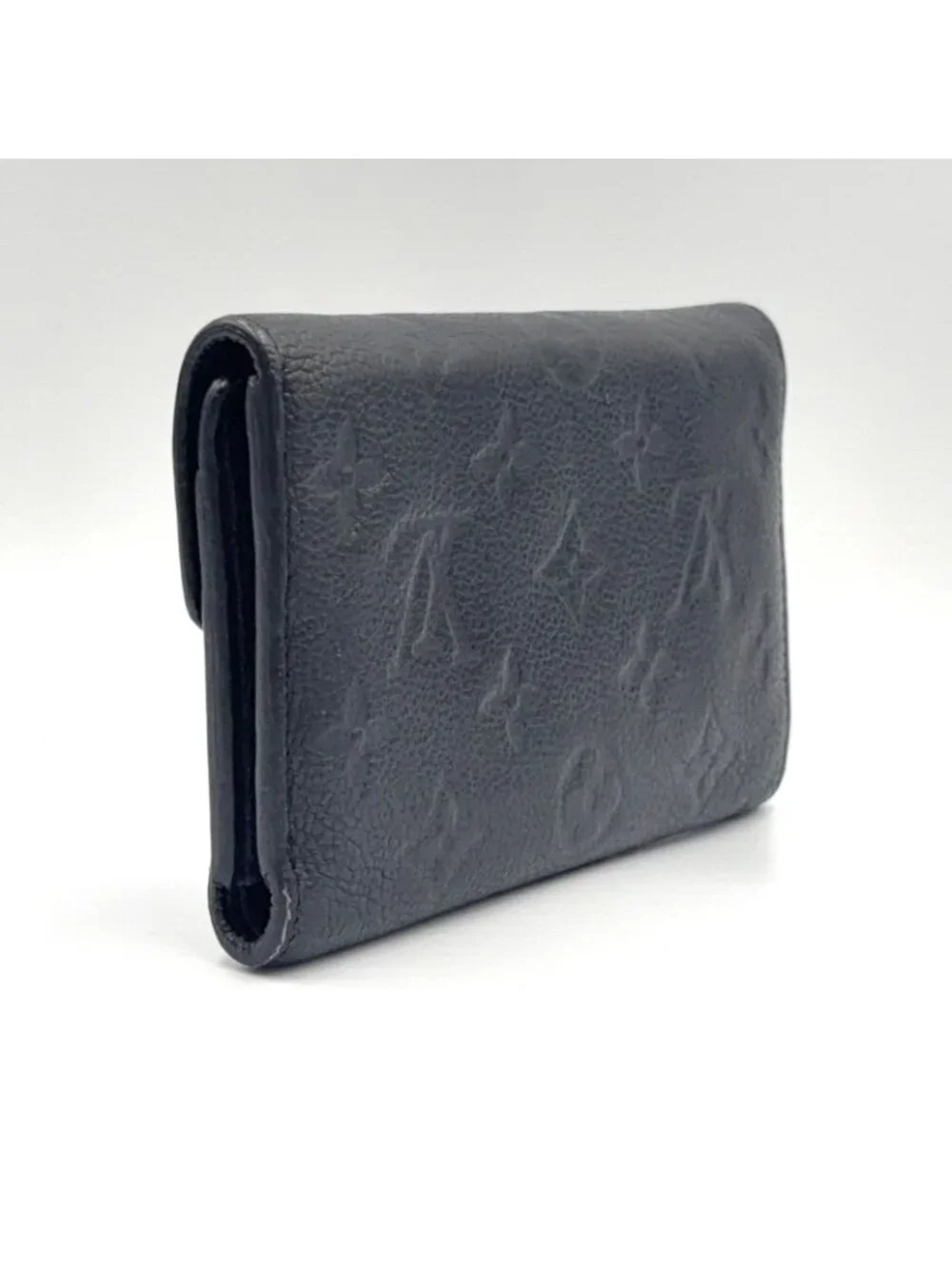 Louis Vuitton brand louis